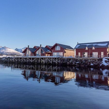Nappstraumen Seafront Cabin, Lilleeid 68 Gravdal  Zewnętrze zdjęcie